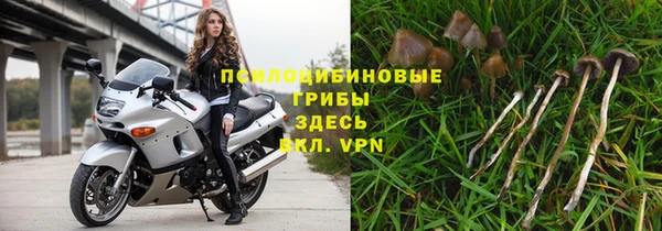 тгк Краснотурьинск