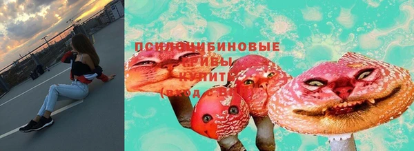 молекула духа Краснослободск