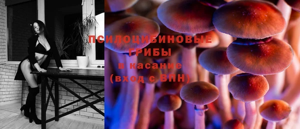 молекула духа Краснослободск