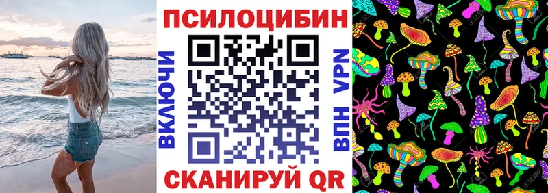 Галлюциногенные грибы Psilocybine cubensis  Купить закладки  Среднеуральск 