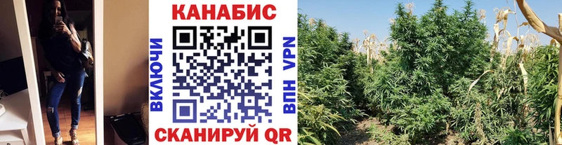 Марихуана марихуана  Купить закладки  Среднеуральск 